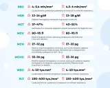 Tabela norm parametrów krwi: RBC, HGB, HCT, MCV, MCH, MCHC, WBC, PLT. Odsetek dużych płytek krwi (PLT) wynosi 150-400 tys./mm³.