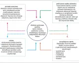 Schemat przedstawia systemowe działania państwa w walce z otyłością (ICD-10), obejmujące edukację, opiekę zdrowotną i wsparcie rodziny.