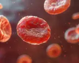 Czerwone krwinki unoszą się w krwiobiegu. Drobne, czerwone cząsteczki unoszące się wokół mogą sugerować, co niszczy płytki krwi, choć to wizualizacja.