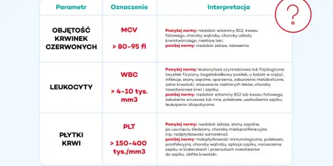 Tabela interpretuje wyniki badań krwi: MCV (objętość krwinek czerwonych), WBC (białe krwinki nazwa) i PLT (płytki krwi).