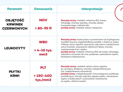 Tabela interpretacji parametrów krwi: MCV (objętość krwinek czerwonych) poniżej normy może wskazywać na niedobór żelaza, kluczowego dla hemoglobiny.
