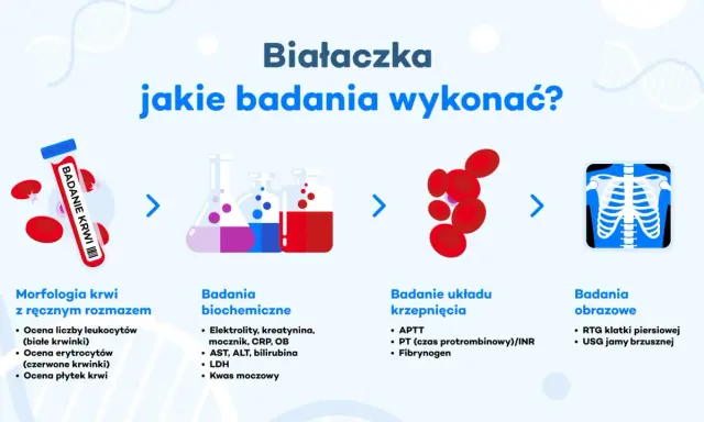 Białaczka: jakie badania wykonać? Schemat przedstawia morfologię krwi, badania biochemiczne, krzepnięcia i obrazowe.