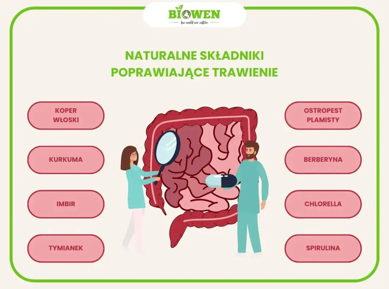 Naturalne składniki, co pomaga na trawienie: koper włoski, kurkuma, imbir, tymianek, ostropest plamisty, berberyna, chlorella, spirulina.