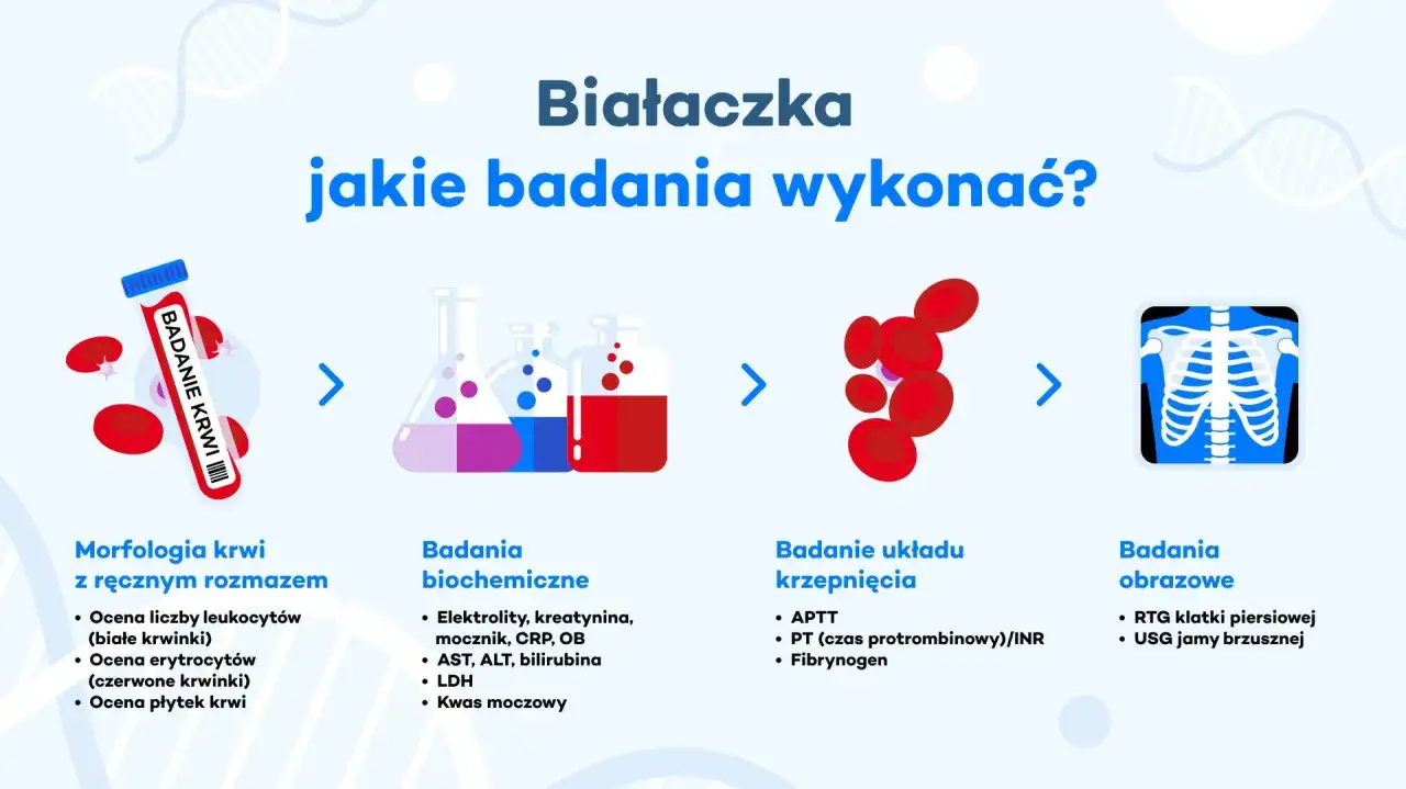 Białaczka: jakie badania wykonać? Morfologia krwi, badania biochemiczne, krzepnięcia i obrazowe (RTG, USG).