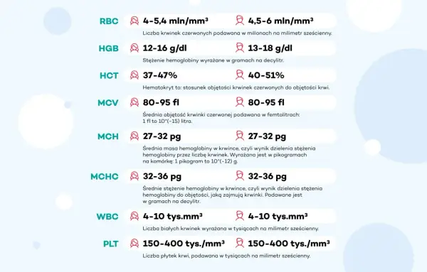 Tabela z normami dla parametrów krwi: RBC, HGB, HCT, MCV, MCH, MCHC, WBC, PLT. Blasty w szpiku norma to kluczowy wskaźnik zdrowia.
