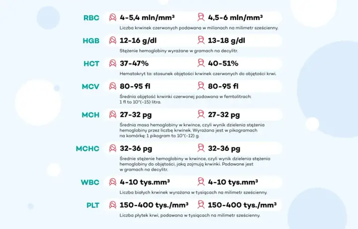 Tabela z normami dla parametrów krwi: RBC, HGB, HCT, MCV, MCH, MCHC, WBC, PLT. Blasty w szpiku norma to kluczowy wskaźnik zdrowia.
